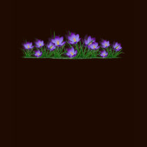 Crocus t-shirts by MANolan Crocus t-shirts