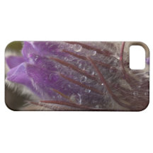 Crocus with Water Beads iPhone 5 Cases