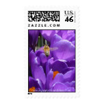 "Crocuses and Honey Bee" - postage stamp