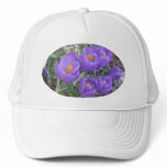 Crocuses Hat