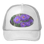 Crocuses Hat hats