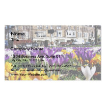 Crocuses In Park 4 Business Card Templates