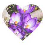 Crocuses Sticker
