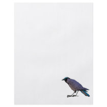 Cromulus Crow Personalized Flyer