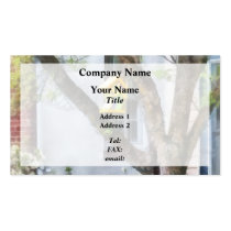 Crooked Bird House business cards