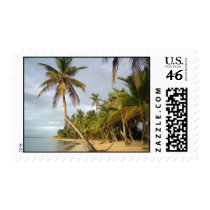 Crooked Palm postage by mrulon23 Crooked Palm postage