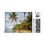 Crooked Palm Postage Stamp