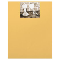 Cropper: Voorburg Pair letterhead by diane_jacky Cropper: Voorburg Pair letterhead