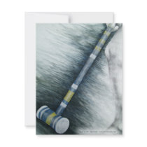 Croquet Invitation