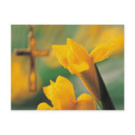 Cross and Daffodils Post Cards
