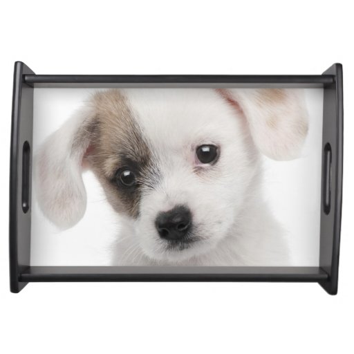 2 month puppy food cross breed puppy 2 months food trays zazzle 2 month puppy food cross breed puppy 2 months food trays zazzle