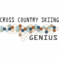 Cross Country Skiing Genius photo sculptures