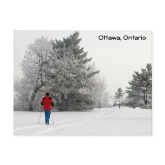 Cross Country Skiing on a Frosty Day postcard