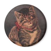 Cross Eyed Cat magnets