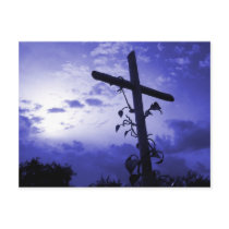 Cross of Jesus I am the Vine Christian Post Card postcards by ScenicEarthStudios Cross of Jesus I am the Vine Christian Post Card postcards
