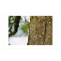 Cross on tree posters by QuestDweller Cross on tree posters