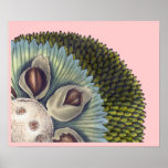 Cross Section of a Breadfruit - Tropical Foods posters