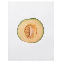 Cross section of a rockmelon flyer design