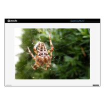 Cross Spider 132 ~ Laptop Skin