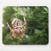 Cross Spider 132 ~ mousepad