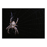 Cross Spider ~ ATC business cards
