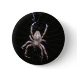 Cross Spider ~ button