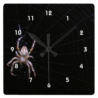 Cross Spider ~ Clock