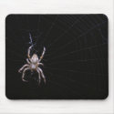 Cross Spider ~ mousepad