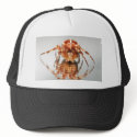 Cross spider on a mirror hats by eurospiders Cross spider on a mirror hats