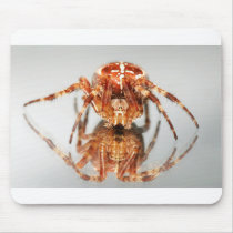 Cross spider on a mirror mouse mats