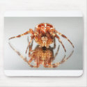 Cross spider on a mirror mousepads by eurospiders Cross spider on a mirror mousepads