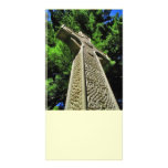 Cross & Tree Photo Card photo cards