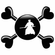 Crossbones Aikido photo sculptures