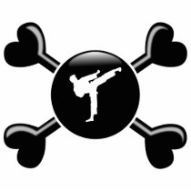Crossbones Karate photo sculptures by busybees Crossbones Karate photo sculptures