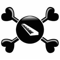 Crossbones Keyboards photo sculptures