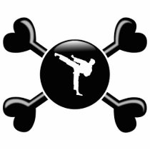 Crossbones Martial Arts photo sculptures