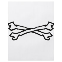 crossed bones icon flyers