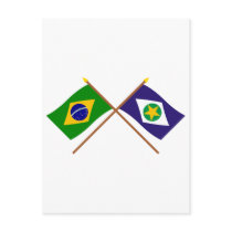 Crossed Flags of Brazil and Mato Grosso Postcard