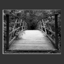 Crossing Over (b&w) Postcard postcards
