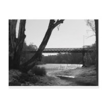 crossing over postcards