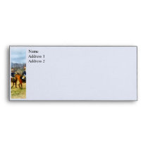 Crossing Sabers envelopes