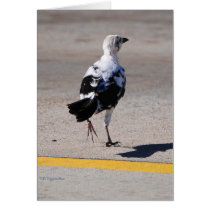 Crossing The Line Card