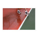 crossing the line posters by blacqbook crossing the line posters
