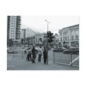 Crossing the Road postcards by artberry Crossing the Road postcards