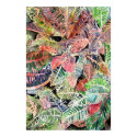 croton_plant_painting posters