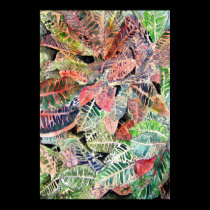croton_plant_painting posters