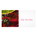 Croton Red Personalized Photo Card