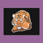 crouching bengal tiger