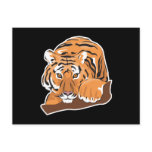 crouching bengal tiger postcards
