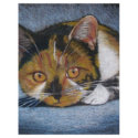 CROUCHING CAT: COLOR PENCIL letterhead